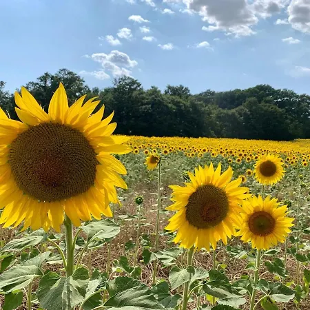La Casa Del Timo - The House Of Thyme Nyaraló