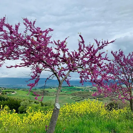 La Casa Del Timo - The House Of Thyme *